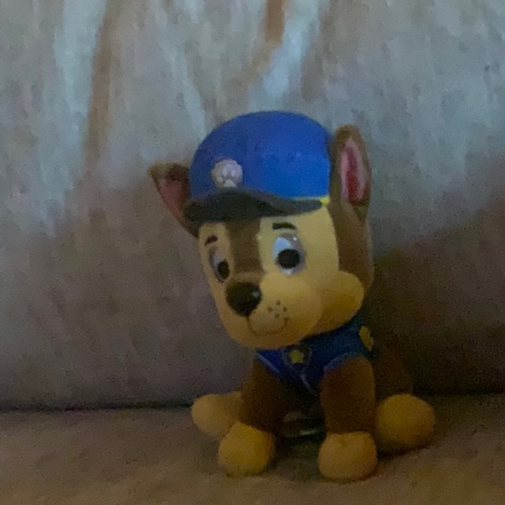 Paw patrol chase
